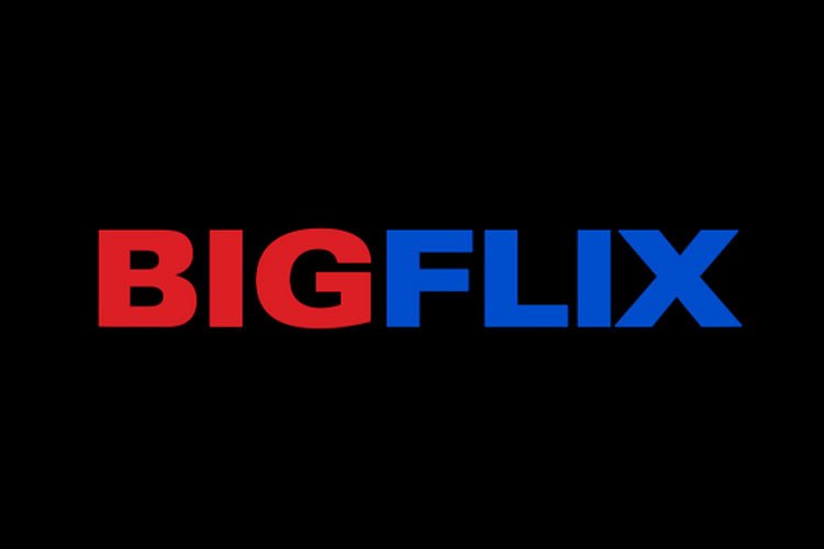 Reliance Entertainment launches BIGFLIX in 9 languages globally
