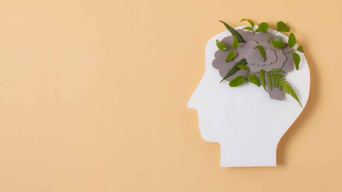 Cultivating a Positive Mindset: A Framework for Personal Well-being